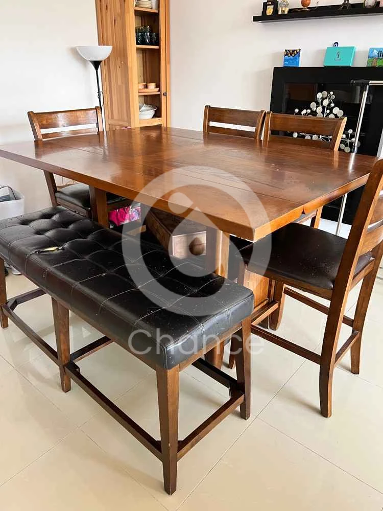 الكراسي بحاج لتغير الجلد بسبب القطة