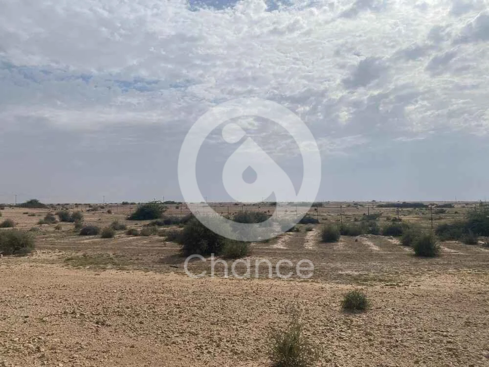 بسم الله الرحمن الرحيم مزرعه للبيع في منطقة ام جدر قريب طريق قلعة الزبارة مساحتها ١٦٨ الف متر مربع مسورة بسور شبك معدني لكامل الارض فيها بيرين ماء مرخصين من الوزارة المزرعه لايوجد بها اي زراعه حاليا بكر وجاهزه مطلوب 20 مليون ريال قطري لتواصل شركة ليان العقارية ترخيص ٣٣١ تلفون ٥٠٤٤٤٠٩٧