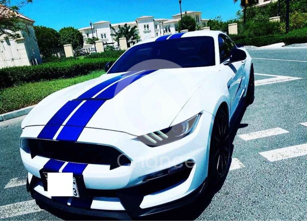 للبيع فورد موستنق شيلبي جيتي ٣٥٠ موديل ٢٠١٧، قير عادي ٥٥٠ حصان قاطع ٢٧،٠٠٠ فقط صبغ وكاله وبحالة الوكاله الموتر مخزن ومايشكي من شي. مطلوب 215,000 التواصل واتساب