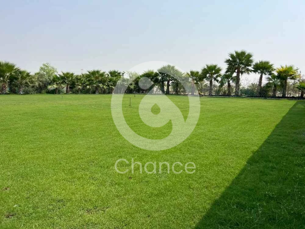 _ للبيع مزرعه في منطقة ابوثيله قريب من مركز الخدمه العسكريه غربي ام صلال يؤدي اليه طريق المجد ويتفرع منه شارع فرعي في حاله جيده الى حد ما يؤدي الى المزرعه *تفاصيل المزرعه،،،،* ١_ المساحه ٤٠ الف متر ٢_ يوجد فيها بئر ماء خريج ( مالح قليلا ) ويوجد فيها تحليه للماء ٣_مؤجره حاليا ب ٢٠ الف ريال وممكن اعادة تأجيرها او الغاء عقد الايجار ٤_ مطلوبه ب ثمانية مليون ونص