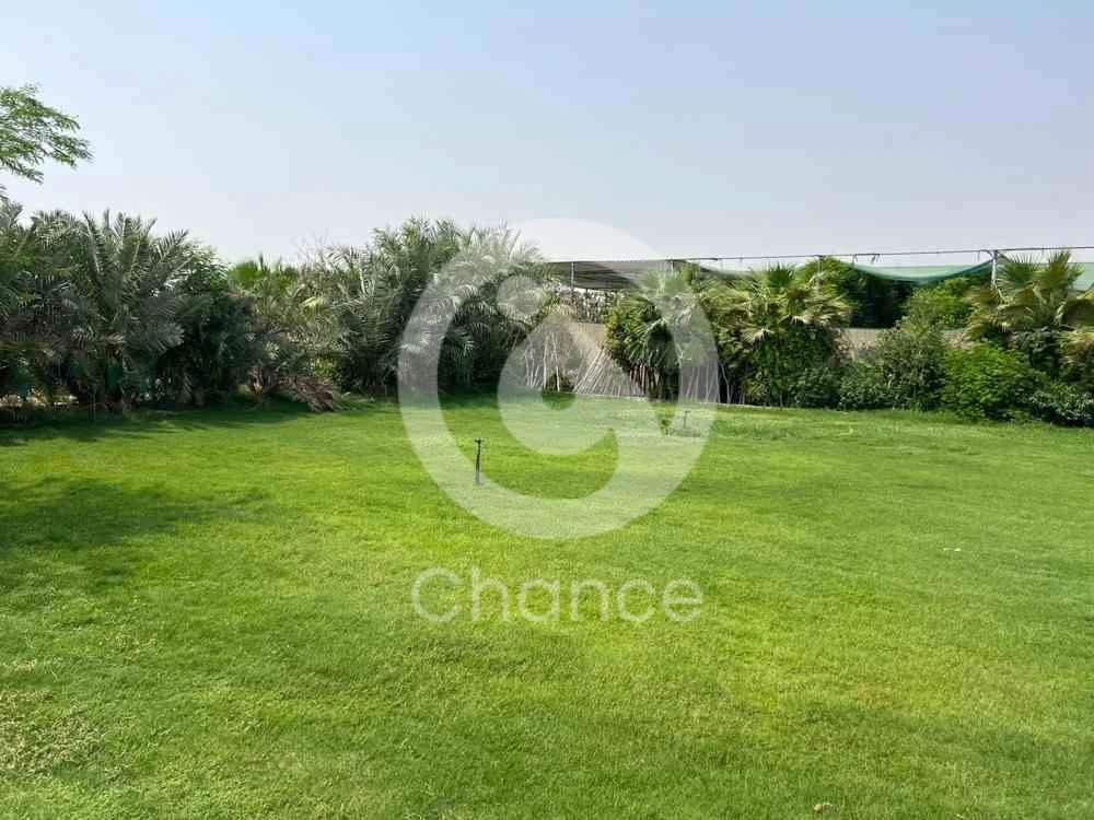 _ للبيع مزرعه في منطقة ابوثيله قريب من مركز الخدمه العسكريه غربي ام صلال يؤدي اليه طريق المجد ويتفرع منه شارع فرعي في حاله جيده الى حد ما يؤدي الى المزرعه *تفاصيل المزرعه،،،،* ١_ المساحه ٤٠ الف متر ٢_ يوجد فيها بئر ماء خريج ( مالح قليلا ) ويوجد فيها تحليه للماء ٣_مؤجره حاليا ٤_ مطلوبه 10 ٥_ وعموله للمكتب ٦_ للتواصل على الرقم 66436780 / يتوفر مزرعة ممتازة على طريق الشمال مباشر العرض للمهتمين المساحة بحدود ٤٠٠ الف للتفاصيل يرجى الاتصال / ام بركة مسور بالكامل فيه عيون ماي 2 + كهرباء الارض مضروبه وجاهزه للبنيان او لتشكيل المشتري الجديد ً