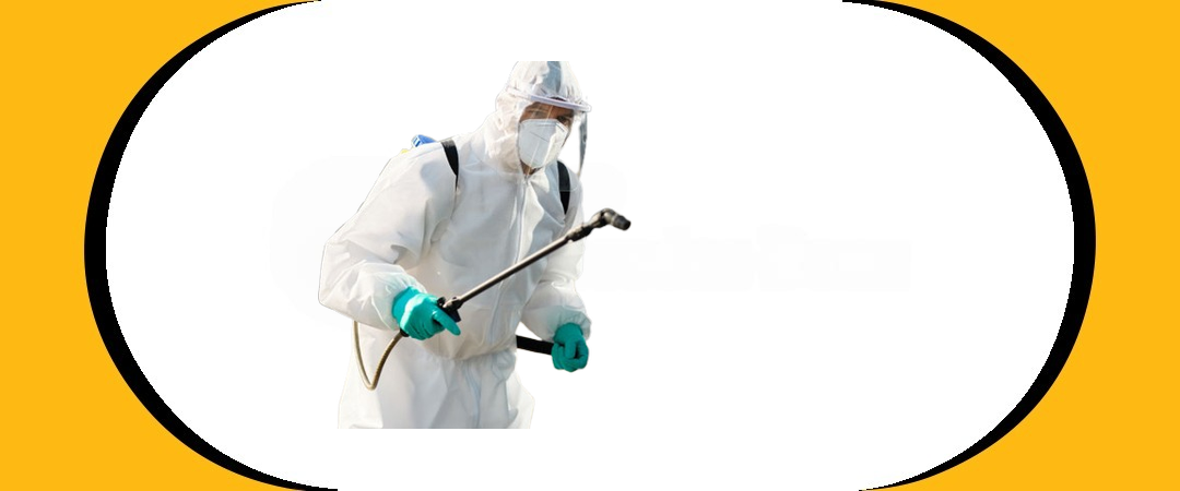 إبادة حشرات